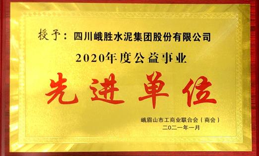 2020年度公益事業(yè)先進(jìn)單位